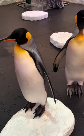 pengalaman di kedai makanan unik sanggup makan bareng penguin penguin