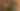Foto: iStock