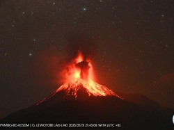 Berstatus Awas, Gunung Lewotobi Laki-laki Meletus 5 Kali Sejak Kemarin