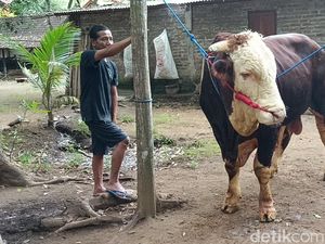 Hercules Jadi Kurban Presiden Prabowo di Kulon Progo Hercules Jadi Kurban Presiden Prabowo di Kulon Progo