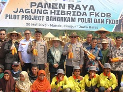 Kakorbinmas Polri Pimpin Panen Raya Jagung di Cianjur: Hasil 11,6 Ton Per Ha