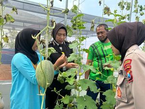 P2L Polresta Sidoarjo Dioptimalkan Demi Genjot Semangat Ketahanan Pangan P2L Polresta Sidoarjo Dioptimalkan Demi Genjot Semangat Ketahanan Pangan