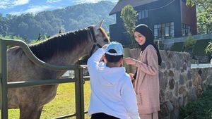 7 Foto Shireen Sungkar Pamer Vila Baru di Puncak, Dilengkapi Halaman Berkuda