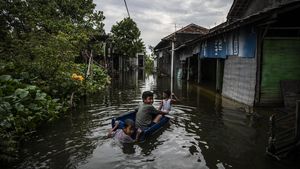 Tanggul Sungai Tuntang Jebol, 11 Desa di Demak Terendam Banjir