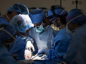 Dokter Bedah AS Sukses Lakukan Transplantasi Kandung Kemih Pertama di Dunia Dokter Bedah AS Sukses Lakukan Transplantasi Kandung Kemih Pertama di Dunia