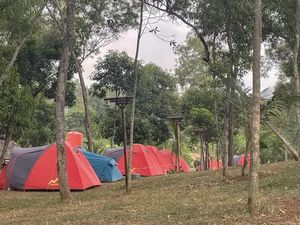 Fasilitas dan Harga Terkini Wisata Kaliwungu Karawang, Ada Hutan Warna! Fasilitas dan Harga Terkini Wisata Kaliwungu Karawang, Ada Hutan Warna!