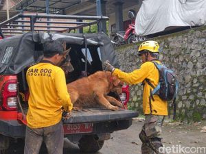 Tim SAR Terjukan Anjing Pelacak Cari Korban Longsor di Trenggalek