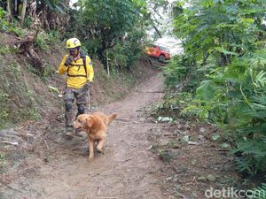 4 Anjing Pelacak Diterjunkan Cari 6 Korban Longsor di Trenggalek