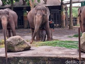 Jatim Park 2, Wahana Seru untuk Liburan Akhir Tahun