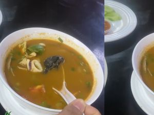 Beli Tom Yum Dapat Bonus Kodok, Wanita Ini Langsung Trauma Beli Tom Yum Dapat Bonus Kodok, Wanita Ini Langsung Trauma