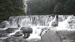 Pesona Alam di Bumi Perkemahan Palutungan Kuningan
