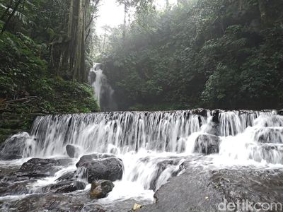 Pesona Alam di Bumi Perkemahan Palutungan Kuningan