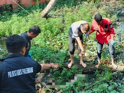 Jenazah Pria asal Sumut Ditemukan di Rawa-rawa Palembang
