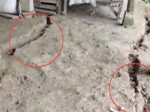 Warga Suppirang Pinrang Minta Direlokasi gegara Tanahnya Kerap Longsor-Retak Warga Suppirang Pinrang Minta Direlokasi gegara Tanahnya Kerap Longsor-Retak