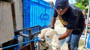 Menengok Salon Kambing Gratis di Jombang