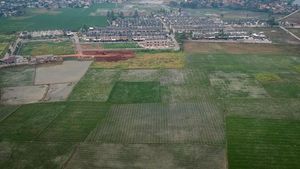 Pemerintah Tambah Luas Lahan Sawah Dilindungi untuk Cegah Alih Fungsi