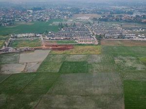 Janji Pemerintah Moratorium Alih Fungsi Lahan Sawah Janji Pemerintah Moratorium Alih Fungsi Lahan Sawah