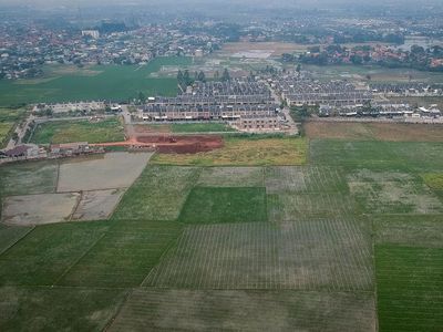 Pemerintah Tambah Luas Lahan Sawah Dilindungi untuk Cegah Alih Fungsi