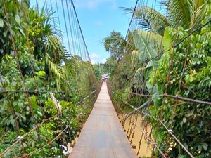 Jembatan yang Viral Dilewati Guru SD di Merangin Kini Sudah Bisa Dilewati