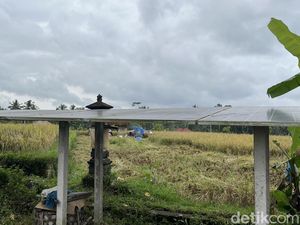 PLTS Atap Permudah Irigasi Subak di Desa Keliki Gianyar PLTS Atap Permudah Irigasi Subak di Desa Keliki Gianyar