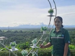 Jejak Langkah Warga Suku Bunggu Pasangkayu Bangkitkan Ekonomi Keluarga