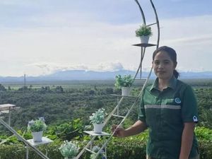Jejak Langkah Warga Suku Bunggu Pasangkayu Bangkitkan Ekonomi Keluarga Jejak Langkah Warga Suku Bunggu Pasangkayu Bangkitkan Ekonomi Keluarga