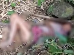 Wanita Lansia Ditemukan Tergeletak di Hutan Lubuklinggau