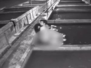 Terekam CCTV, Maling Lele Beraksi Tanpa Busana di Lumajang Terekam CCTV, Maling Lele Beraksi Tanpa Busana di Lumajang