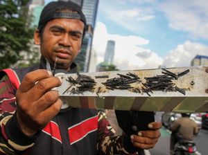 Kagetnya Relawan Saber Ranjau Paku Dikejar Pria di Jaktim Bawa Bambu Kagetnya Relawan Saber Ranjau Paku Dikejar Pria di Jaktim Bawa Bambu