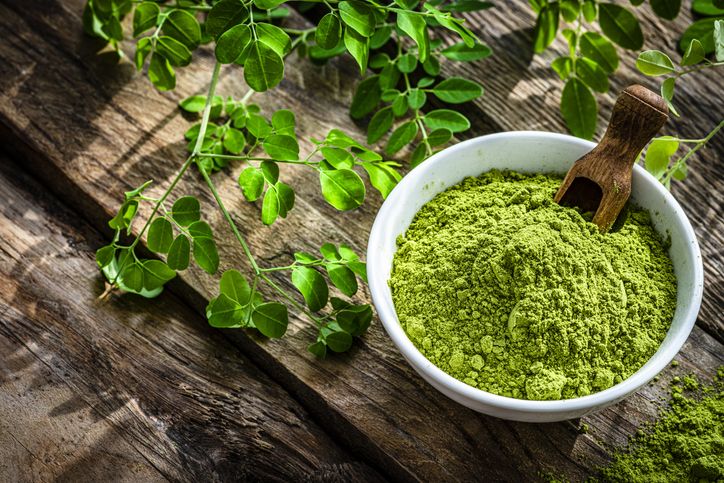 fakta dan manfaat daun kelor vs matcha
