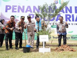 Penghijauan di Kuansing, Kapolda Riau: Tanam Pohon untuk Bank Oksigen