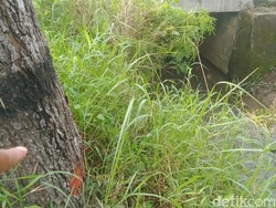 Terungkap! Pria Tewas di Selokan Ceper Klaten Ternyata Korban Kecelakaan