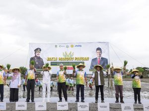 Dukung Swasembada Pangan, Pupuk Indonesia Kelola Lahan Rampasan Kejagung