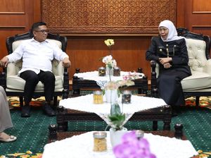 Bertemu Khofifah, Andra Soni Bicara Kerja Sama Inseminasi Badak Jawa Bertemu Khofifah, Andra Soni Bicara Kerja Sama Inseminasi Badak Jawa