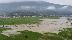 Banjir Rendam 95 Hektare Sawah di Ciamis