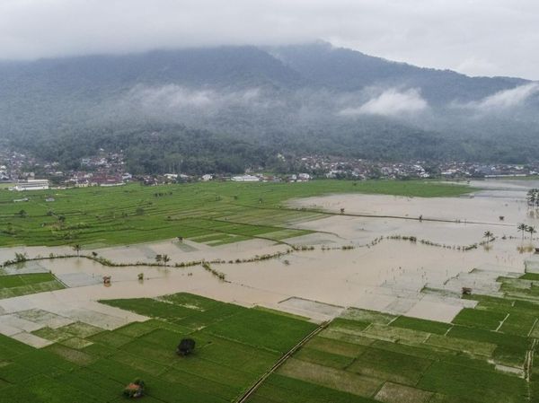 Banjir Rendam 95 Hektare Sawah di Ciamis