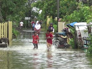 Sepekan Banjir Rob Rendam Desa Tunggulsari Pati