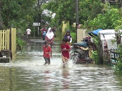 Sepekan Banjir Rob Rendam Desa Tunggulsari Pati