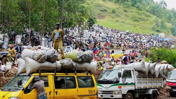 Begini Ramainya Pasar Arang di Kongo, Ancam Habitat Gorila Langka