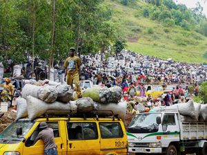 Begini Ramainya Pasar Arang di Kongo, Ancam Habitat Gorila Langka Begini Ramainya Pasar Arang di Kongo, Ancam Habitat Gorila Langka
