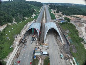 Lindungi Fauna Kalimantan, Waskita Bangun Jembatan Satwa di Tol IKN