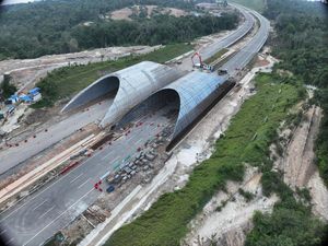 Jembatan Satwa Dibangun di Tol IKN, Mudahkan Perpindahan Hewan Liar Jembatan Satwa Dibangun di Tol IKN, Mudahkan Perpindahan Hewan Liar