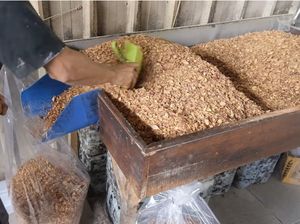 Juragan Bawang Goreng Ini Pernah Dihina hingga Ditipu Puluhan Juta Juragan Bawang Goreng Ini Pernah Dihina hingga Ditipu Puluhan Juta