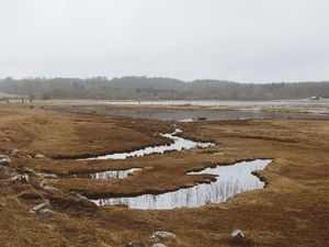 Puncak Kemarau, BMKG Imbau Warga Jambi agar Berhemat Air
