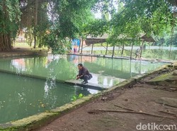 Rencana Menghidupkan Lagi Kolam Sang Raja di Majalengka