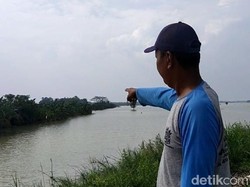 Nestapa Petani Babat Lamongan Rugi Ratusan Juta gegara Sawah Kebanjiran