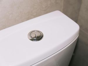 Dua Tombol Flush di Toilet Bisa Bikin Hemat Air, Begini Cara Kerjanya Dua Tombol Flush di Toilet Bisa Bikin Hemat Air, Begini Cara Kerjanya