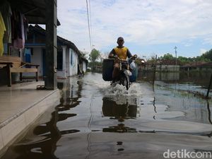 Pilu Warga Tunggulsari Pati Sepekan Terdampak Rob: Sudah 3 Hari Air Masuk Rumah