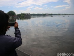 Tambak Ikan di Tunggulsari Pati Terdampak Rob, Kerugian Diduga Miliaran