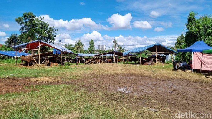 Kondisi terkini lahan BMKG di Tangsel yang diduduki ormas GRIB Jaya. (Taufiq/detikcom) Kondisi terkini lahan BMKG di Tangsel yang diduduki ormas GRIB Jaya. (Taufiq/detikcom)